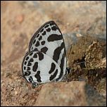 [ethion_ethion-3mv.jpg]